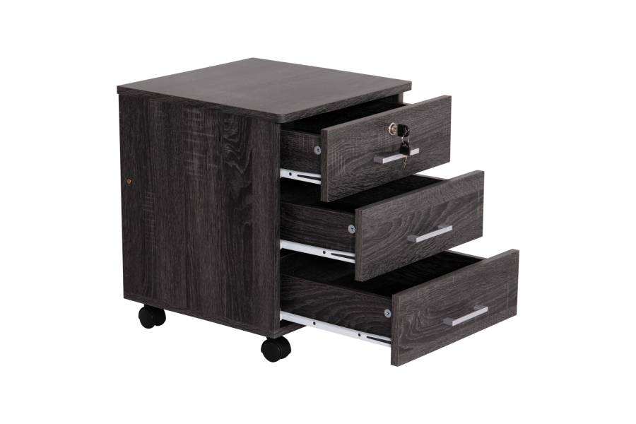ΣΥΡΤΑΡΙΕΡΑ ΓΡΑΦΕΙΟΥ HAYDEN HM2282.01 ΣΕ ΑΝΘΡΑΚΙ ΧΡΩΜΑ 39.5x40x46.5Υεκ