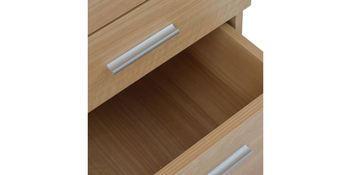 ΣΥΡΤΑΡΙΕΡΑ ΓΡΑΦΕΙΟΥ VANCE ΕΠΑΓΓΕΛΜΑΤΙΚΗ ΟΞΙΑ HM2049.11 40X46X75Υ εκ.