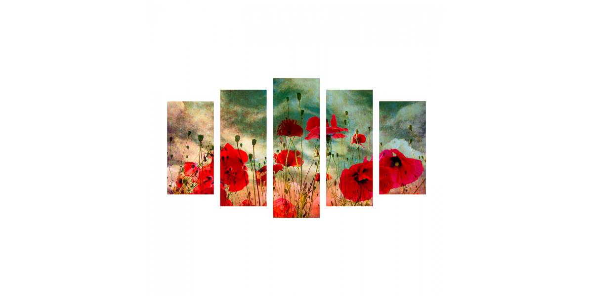 ΠΙΝΑΚΑΣ ΠΕΝΤΑΠΤΥΧΟ MDF POPPY FIELD HM7206.03 100X0,3X60 εκ.