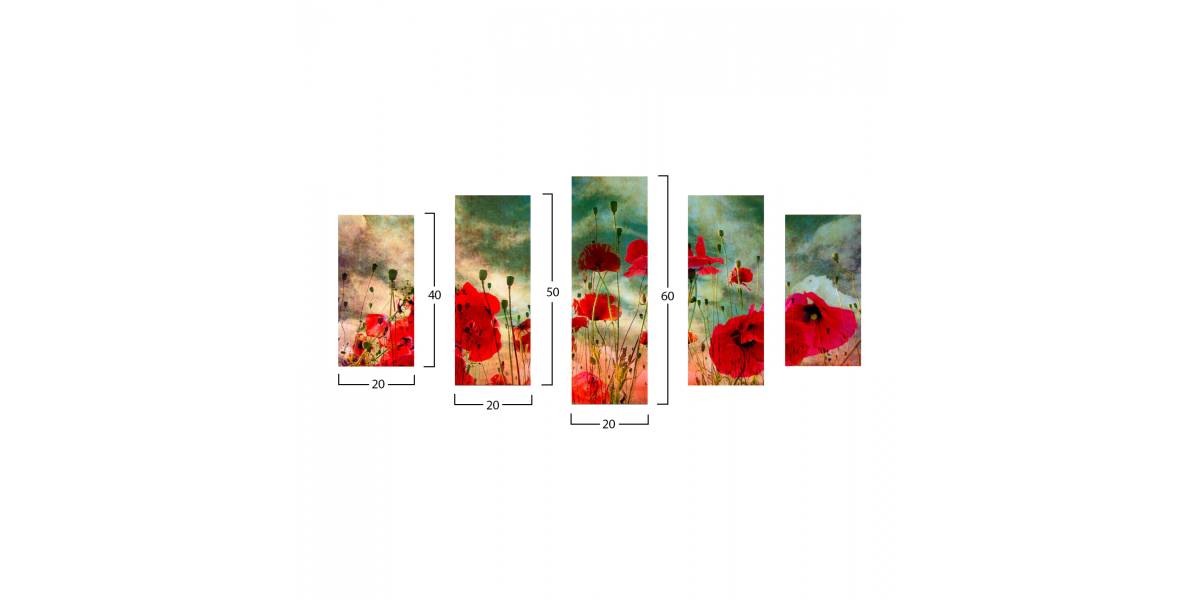 ΠΙΝΑΚΑΣ ΠΕΝΤΑΠΤΥΧΟ MDF POPPY FIELD HM7206.03 100X0,3X60 εκ.