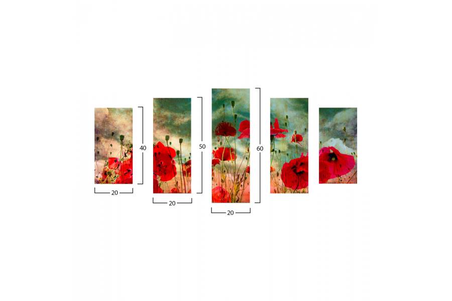 ΠΙΝΑΚΑΣ ΠΕΝΤΑΠΤΥΧΟ MDF POPPY FIELD HM7206.03 100X0,3X60 εκ.