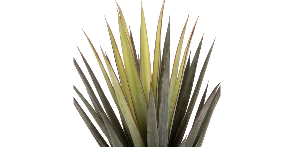 ΔΙΑΚΟΣΜΗΤΙΚΟ ΣΥΝΘΕΤΙΚΟ ΦΥΤΟ HM7986 SISAL AGAVE ΣΕ ΓΛΑΣΤΡΑ Φ15,5x14,5-96Υεκ.