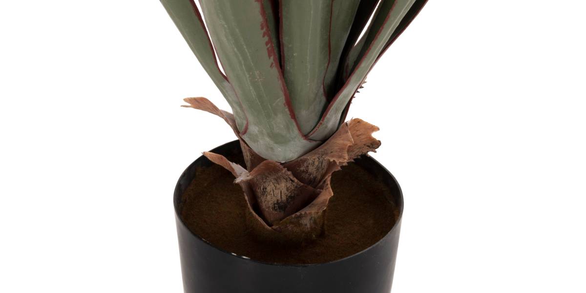 ΔΙΑΚΟΣΜΗΤΙΚΟ ΣΥΝΘΕΤΙΚΟ ΦΥΤΟ HM7985 SISAL AGAVE ΣΕ ΓΛΑΣΤΡΑ Φ13,5x13-76Υεκ.