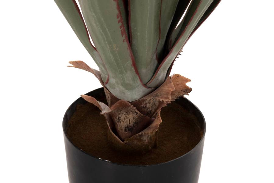 ΔΙΑΚΟΣΜΗΤΙΚΟ ΣΥΝΘΕΤΙΚΟ ΦΥΤΟ HM7985 SISAL AGAVE ΣΕ ΓΛΑΣΤΡΑ Φ13,5x13-76Υεκ.