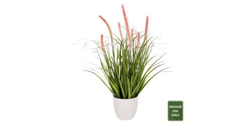 ΔΙΑΚΟΣΜΗΤΙΚΟ ΣΥΝΘΕΤΙΚΟ ΦΥΤΟ HM4029 BRISTLEGRASS ΣΕ ΓΛΑΣΤΡΑ Φ14,5x13-62Yεκ.