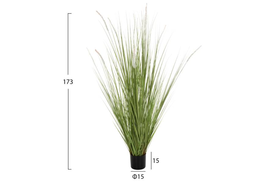 ΔΙΑΚΟΣΜΗΤΙΚΟ ΣΥΝΘΕΤΙΚΟ ΦΥΤΟ HM4017 BRISTLEGRASS ΣΕ ΓΛΑΣΤΡΑ 173Υεκ.