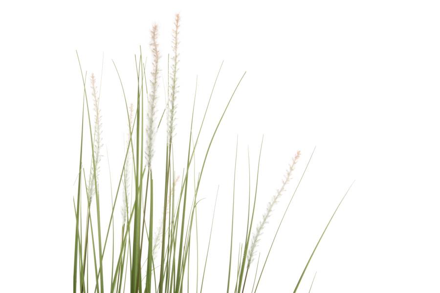 ΔΙΑΚΟΣΜΗΤΙΚΟ ΣΥΝΘΕΤΙΚΟ ΦΥΤΟ HM4017 BRISTLEGRASS ΣΕ ΓΛΑΣΤΡΑ 173Υεκ.