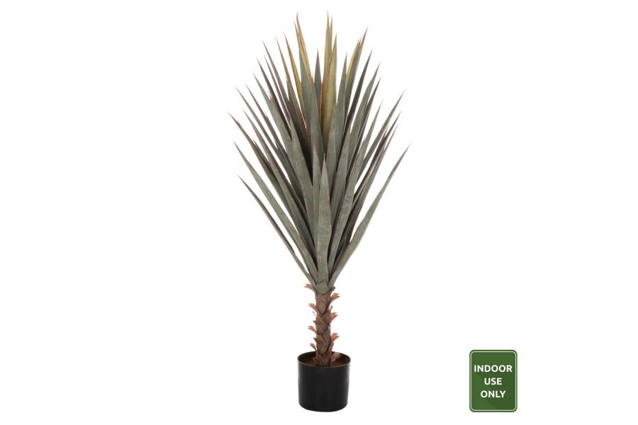 ΔΙΑΚΟΣΜΗΤΙΚΟ ΣΥΝΘΕΤΙΚΟ ΦΥΤΟ HM7987 SISAL AGAVE ΣΕ ΓΛΑΣΤΡΑ 120Υεκ.