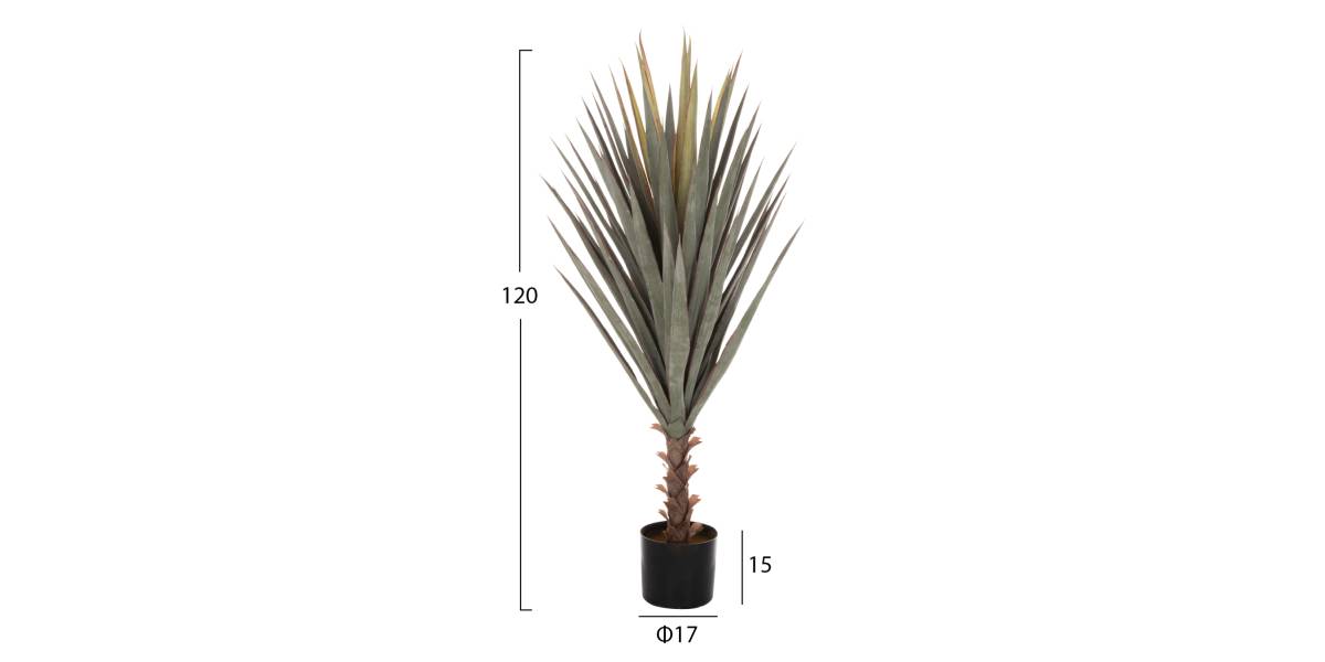 ΔΙΑΚΟΣΜΗΤΙΚΟ ΣΥΝΘΕΤΙΚΟ ΦΥΤΟ HM7987 SISAL AGAVE ΣΕ ΓΛΑΣΤΡΑ 120Υεκ.