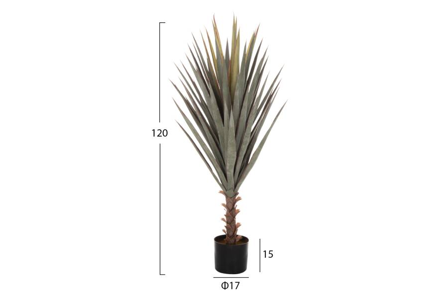 ΔΙΑΚΟΣΜΗΤΙΚΟ ΣΥΝΘΕΤΙΚΟ ΦΥΤΟ HM7987 SISAL AGAVE ΣΕ ΓΛΑΣΤΡΑ 120Υεκ.