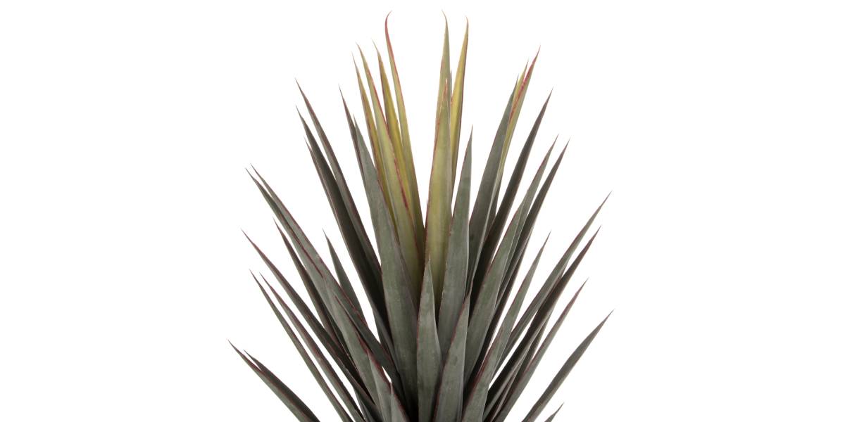 ΔΙΑΚΟΣΜΗΤΙΚΟ ΣΥΝΘΕΤΙΚΟ ΦΥΤΟ HM7987 SISAL AGAVE ΣΕ ΓΛΑΣΤΡΑ 120Υεκ.