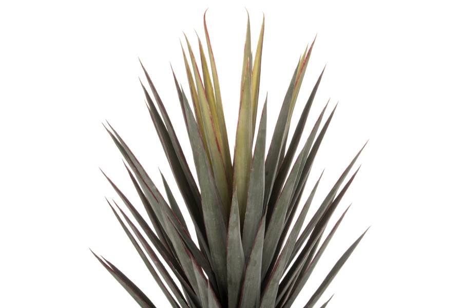 ΔΙΑΚΟΣΜΗΤΙΚΟ ΣΥΝΘΕΤΙΚΟ ΦΥΤΟ HM7987 SISAL AGAVE ΣΕ ΓΛΑΣΤΡΑ 120Υεκ.