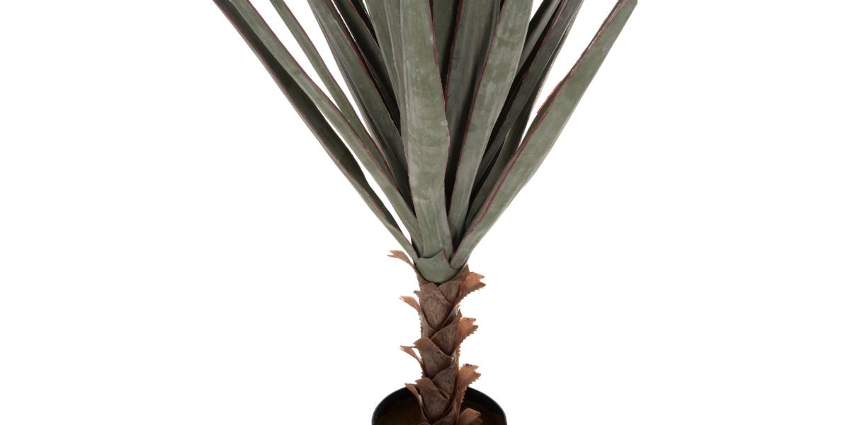 ΔΙΑΚΟΣΜΗΤΙΚΟ ΣΥΝΘΕΤΙΚΟ ΦΥΤΟ HM7987 SISAL AGAVE ΣΕ ΓΛΑΣΤΡΑ 120Υεκ.