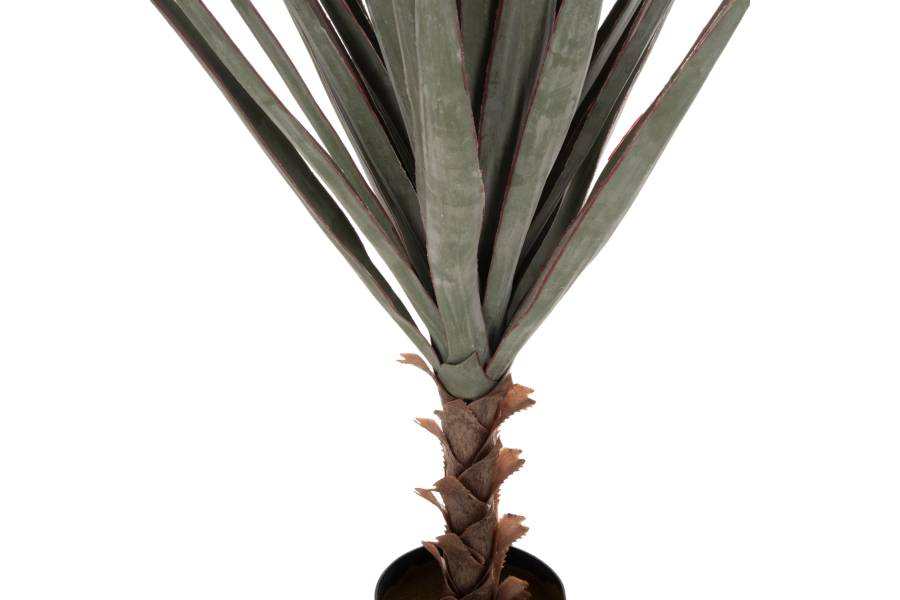 ΔΙΑΚΟΣΜΗΤΙΚΟ ΣΥΝΘΕΤΙΚΟ ΦΥΤΟ HM7987 SISAL AGAVE ΣΕ ΓΛΑΣΤΡΑ 120Υεκ.