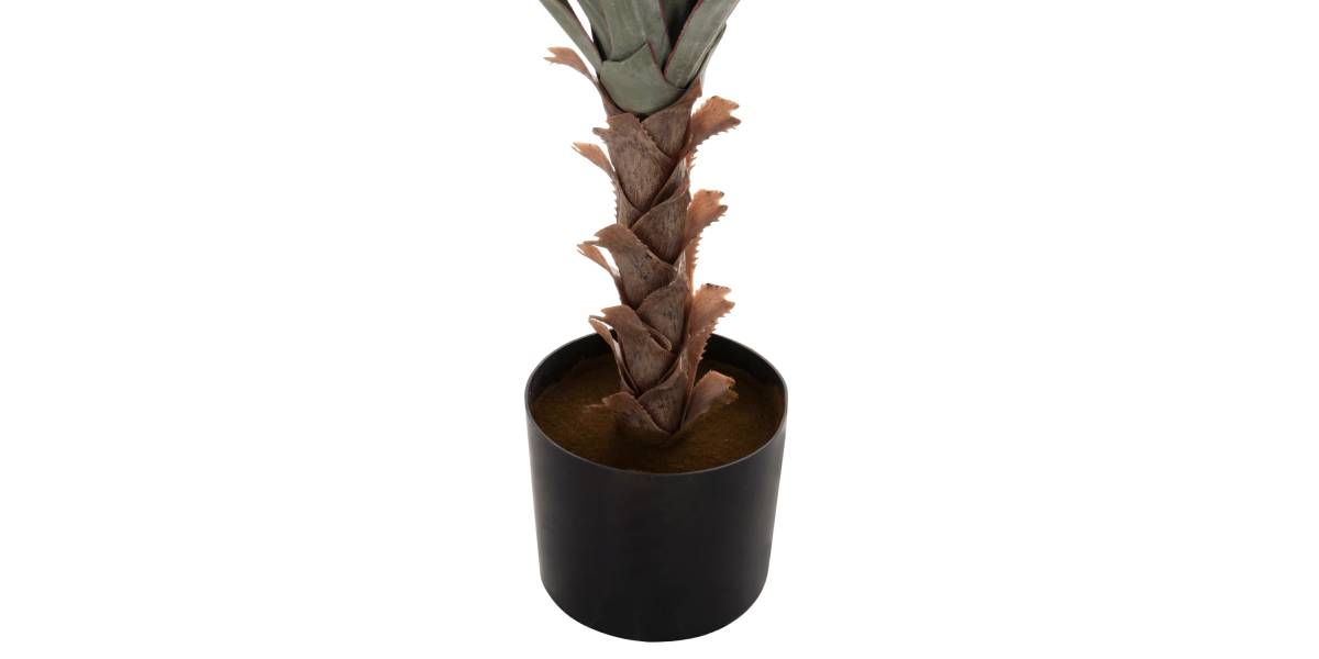 ΔΙΑΚΟΣΜΗΤΙΚΟ ΣΥΝΘΕΤΙΚΟ ΦΥΤΟ HM7987 SISAL AGAVE ΣΕ ΓΛΑΣΤΡΑ 120Υεκ.