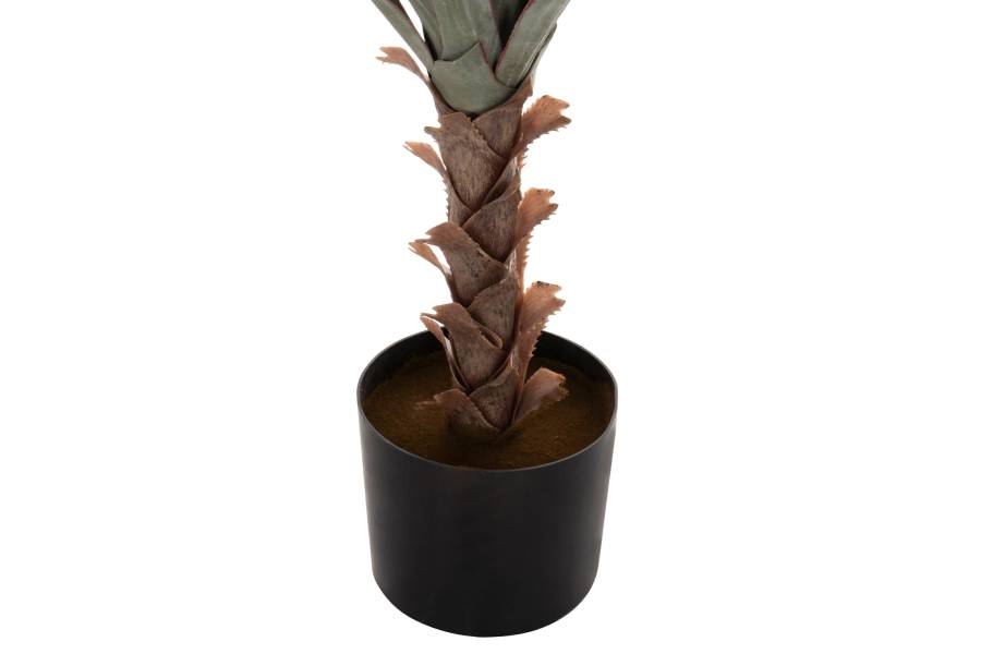 ΔΙΑΚΟΣΜΗΤΙΚΟ ΣΥΝΘΕΤΙΚΟ ΦΥΤΟ HM7987 SISAL AGAVE ΣΕ ΓΛΑΣΤΡΑ 120Υεκ.