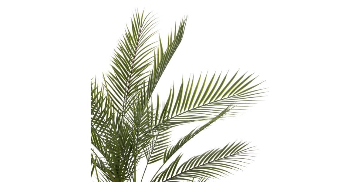 ΔΙΑΚΟΣΜΗΤΙΚΟ ΣΥΝΘΕΤΙΚΟ ΦΥΤΟ HM7970 KWAI TREE ΣΕ ΓΛΑΣΤΡΑ Φ17x14,5-155Υεκ.