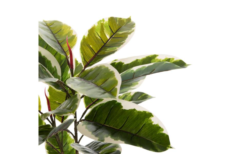 ΔΙΑΚΟΣΜΗΤΙΚΟ ΣΥΝΘΕΤΙΚΟ ΦΥΤΟ HM7972 OAK LEAF ΣΕ ΓΛΑΣΤΡΑ 85Υεκ.