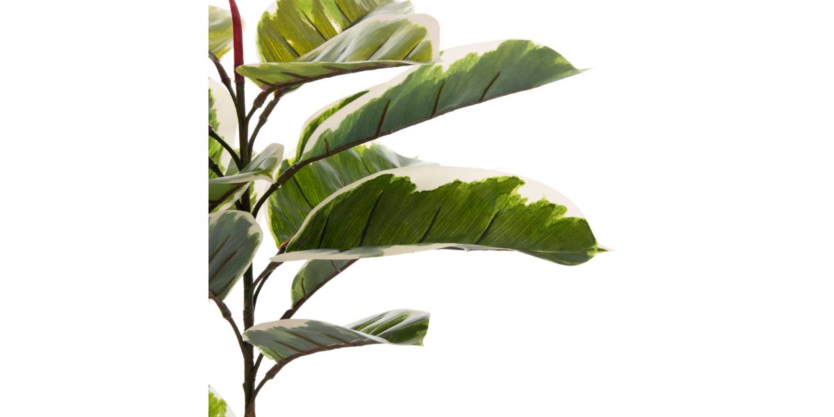 ΔΙΑΚΟΣΜΗΤΙΚΟ ΣΥΝΘΕΤΙΚΟ ΦΥΤΟ HM7972 OAK LEAF ΣΕ ΓΛΑΣΤΡΑ 85Υεκ.