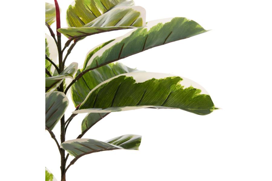 ΔΙΑΚΟΣΜΗΤΙΚΟ ΣΥΝΘΕΤΙΚΟ ΦΥΤΟ HM7972 OAK LEAF ΣΕ ΓΛΑΣΤΡΑ 85Υεκ.