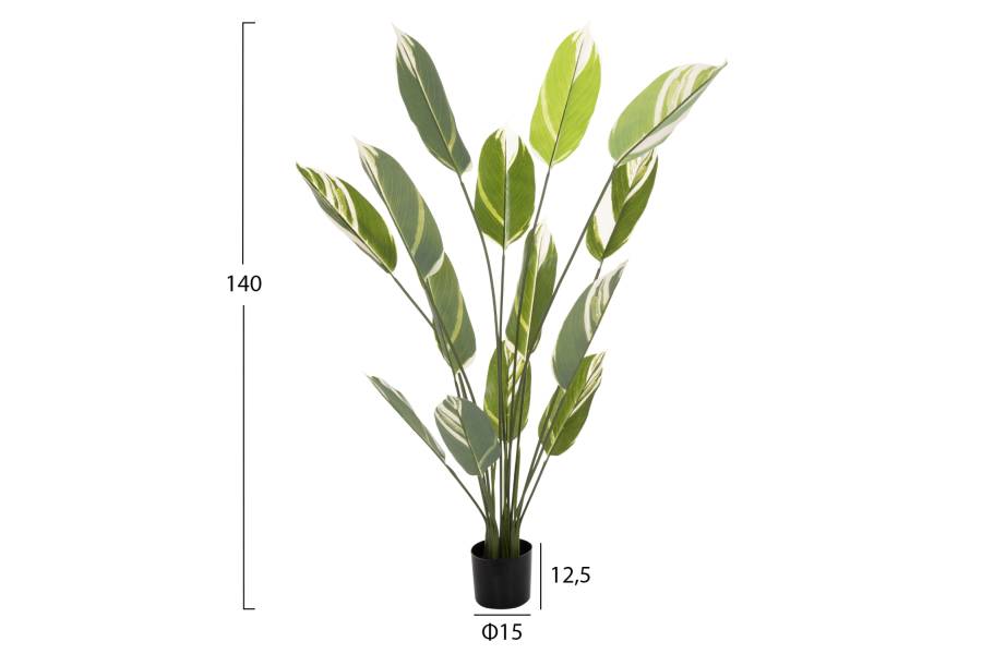 ΔΙΑΚΟΣΜΗΤΙΚΟ ΣΥΝΘΕΤΙΚΟ ΦΥΤΟ HM7997 CALATHEA ΣΕ ΓΛΑΣΤΡΑ 140Υεκ.