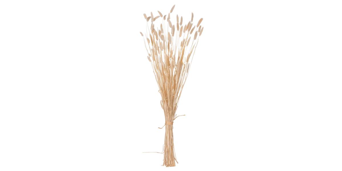 ΔΙΑΚΟΣΜΗΤΙΚΟ ΜΠΟΥΚΕΤΟ ΑΠΟΞΗΡΑΜΕΝΟ HM7959 RABBIT TAIL- CREAM 50gr 76Υεκ.