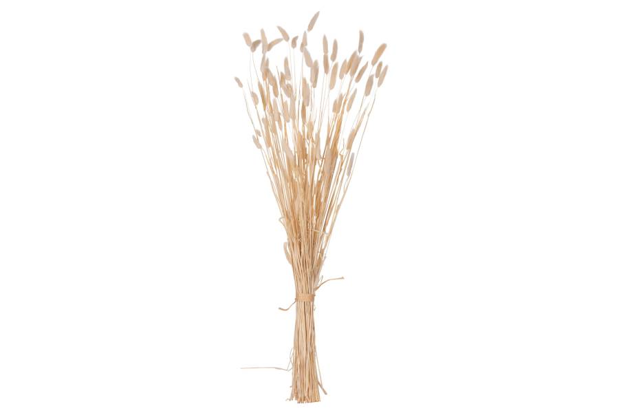 ΔΙΑΚΟΣΜΗΤΙΚΟ ΜΠΟΥΚΕΤΟ ΑΠΟΞΗΡΑΜΕΝΟ HM7959 RABBIT TAIL- CREAM 50gr 76Υεκ.
