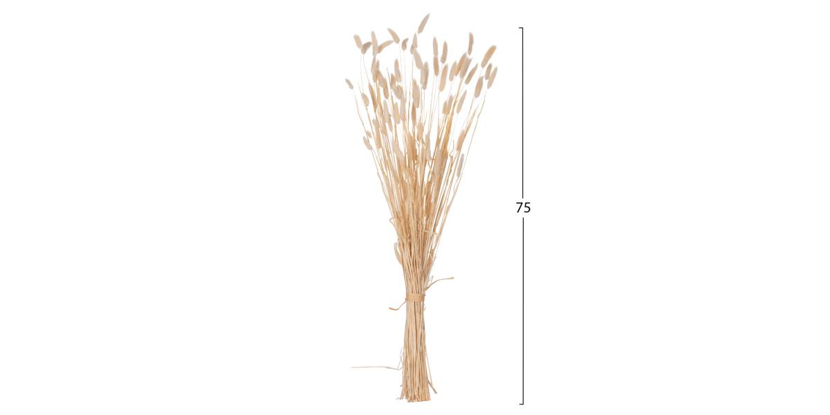 ΔΙΑΚΟΣΜΗΤΙΚΟ ΜΠΟΥΚΕΤΟ ΑΠΟΞΗΡΑΜΕΝΟ HM7959 RABBIT TAIL- CREAM 50gr 76Υεκ.