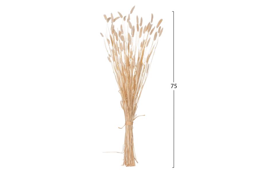 ΔΙΑΚΟΣΜΗΤΙΚΟ ΜΠΟΥΚΕΤΟ ΑΠΟΞΗΡΑΜΕΝΟ HM7959 RABBIT TAIL- CREAM 50gr 76Υεκ.