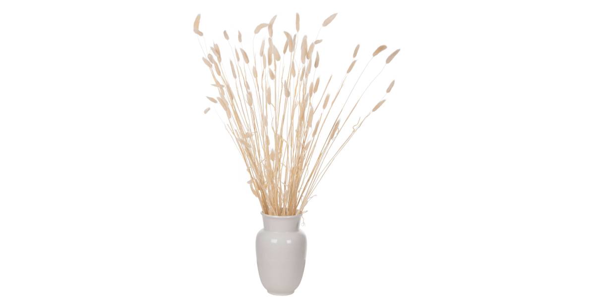ΔΙΑΚΟΣΜΗΤΙΚΟ ΜΠΟΥΚΕΤΟ ΑΠΟΞΗΡΑΜΕΝΟ HM7959 RABBIT TAIL- CREAM 50gr 76Υεκ.