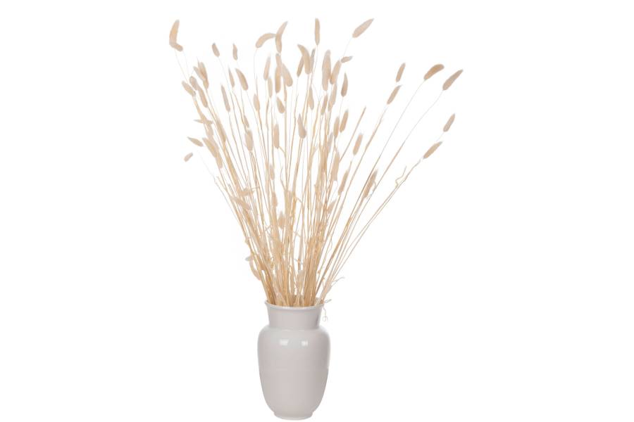 ΔΙΑΚΟΣΜΗΤΙΚΟ ΜΠΟΥΚΕΤΟ ΑΠΟΞΗΡΑΜΕΝΟ HM7959 RABBIT TAIL- CREAM 50gr 76Υεκ.