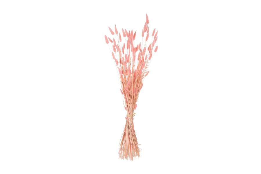 ΔΙΑΚΟΣΜΗΤΙΚΟ ΜΠΟΥΚΕΤΟ ΑΠΟΞΗΡΑΜΕΝΟ HM7960 RABBIT TAIL-PINK 75Υεκ.