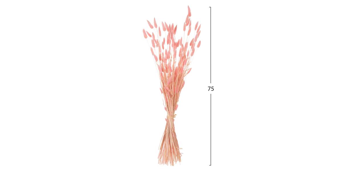 ΔΙΑΚΟΣΜΗΤΙΚΟ ΜΠΟΥΚΕΤΟ ΑΠΟΞΗΡΑΜΕΝΟ HM7960 RABBIT TAIL-PINK 75Υεκ.