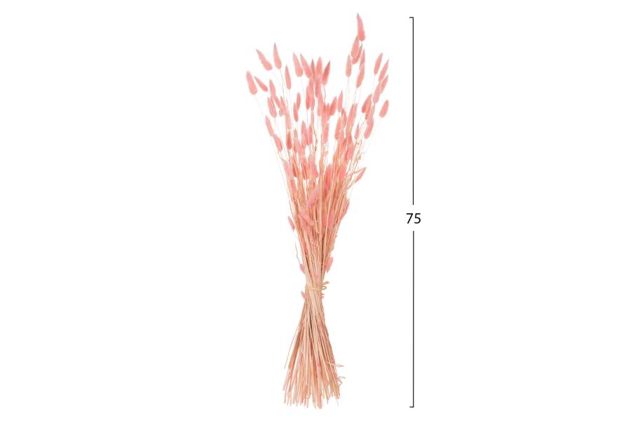 ΔΙΑΚΟΣΜΗΤΙΚΟ ΜΠΟΥΚΕΤΟ ΑΠΟΞΗΡΑΜΕΝΟ HM7960 RABBIT TAIL-PINK 75Υεκ.