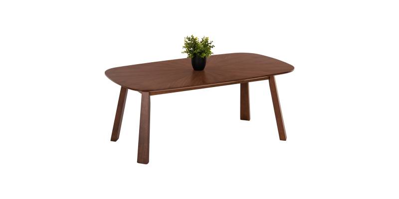 ΤΡΑΠΕΖΙ ΣΑΛΟΝΙΟΥ RINER HM9737 MDF ΣΕ ΚΑΡΥΔΙ ΧΡΩΜΑ 120x60x45Υεκ.