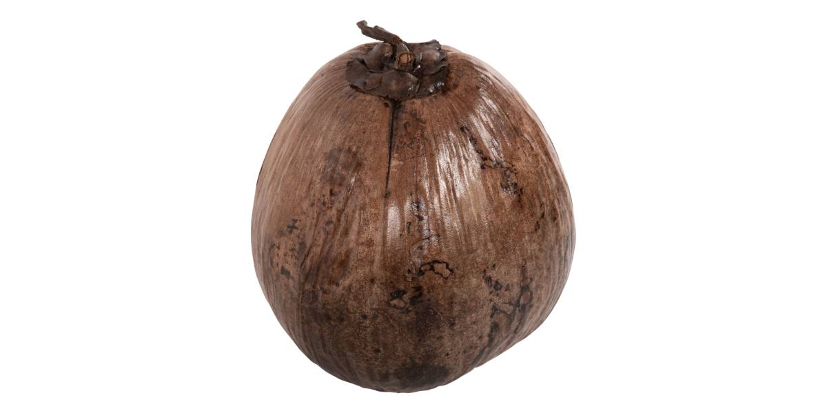 ΕΠΙΤΡΑΠΕΖΙΟ ΔΙΑΚΟΣΜΗΤΙΚΟ HM4326.01 ΚΑΡΥΔΑ ΣΕ ΦΥΣΙΚΟ ΧΡΩΜΑ 20x20x20Υεκ