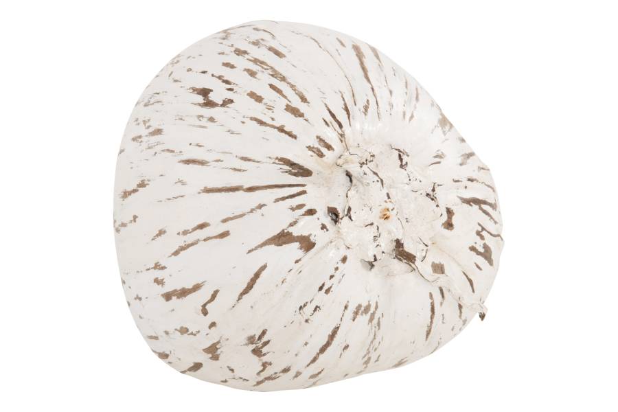 ΕΠΙΤΡΑΠΕΖΙΟ ΔΙΑΚΟΣΜΗΤΙΚΟ HM4326.05 ΚΑΡΥΔΑ ΣΕ ΛΕΥΚΟ ΧΡΩΜΑ 20x20x20Υεκ