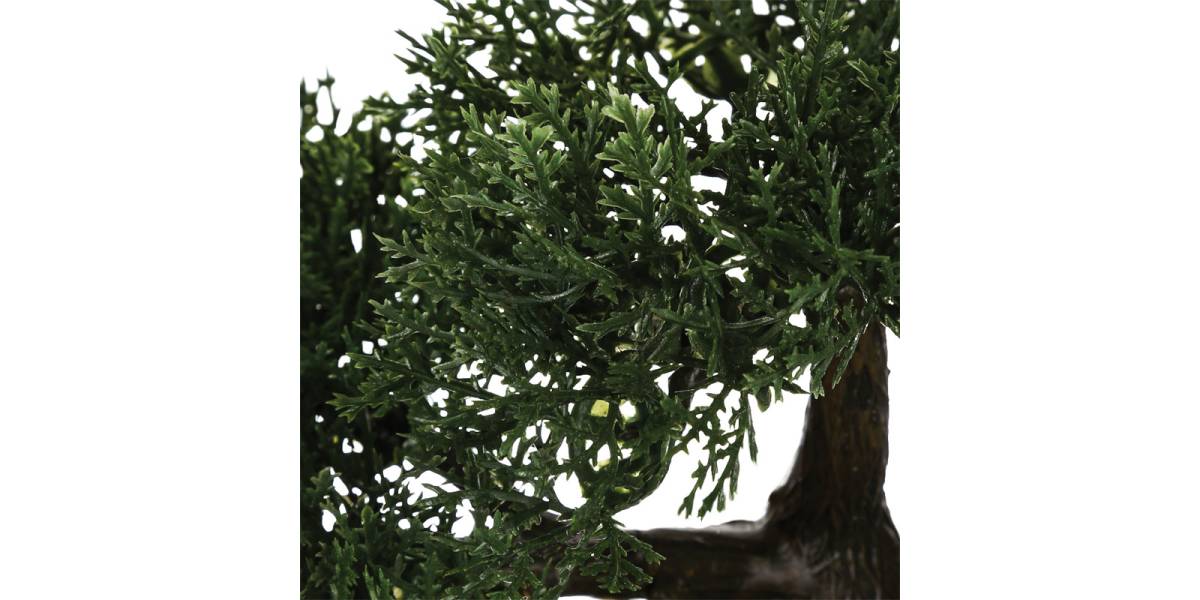 Φυτό σε γλάστρα Green18 pakoworld 35x32x34εκ