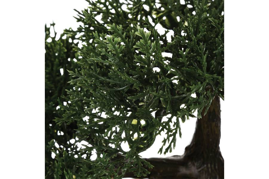 Φυτό σε γλάστρα Green18 pakoworld 35x32x34εκ