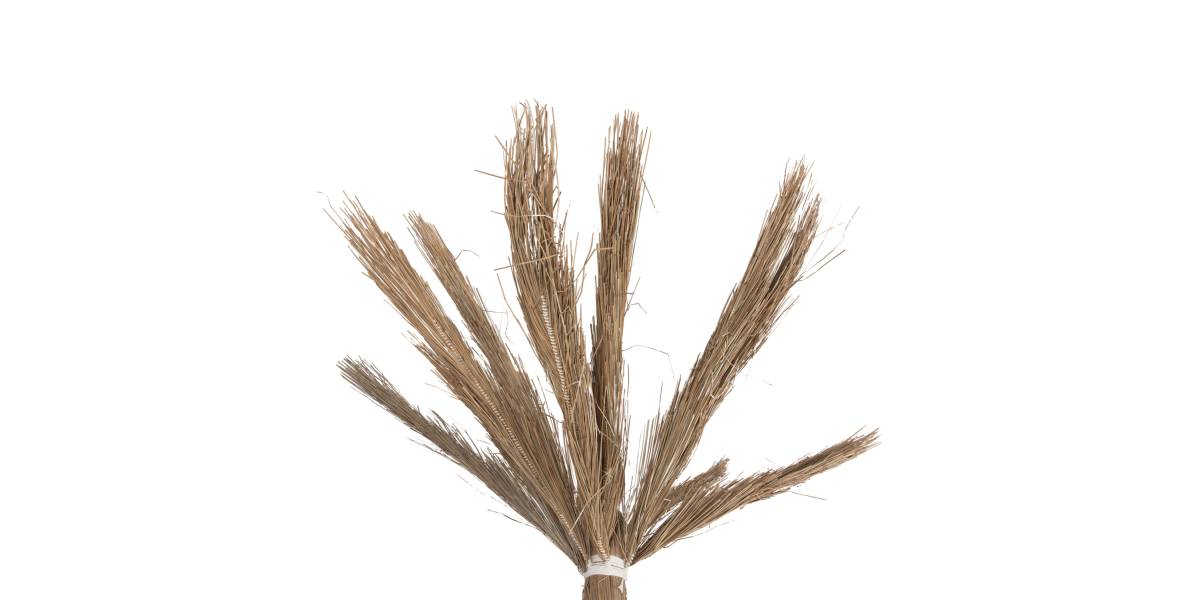 ΔΙΑΚΟΣΜΗΤΙΚΟ ΔΕΝΤΡΟ TROPIC HM4322 τ.ΦΟΙΝΙΚΑ ΑΠΟ MENDONG GRASS 360Yεκ.