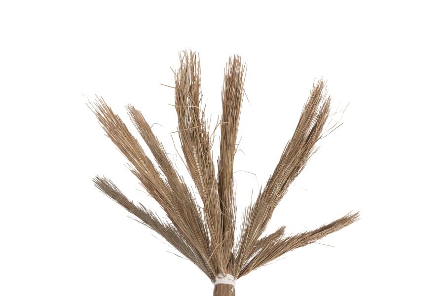 ΔΙΑΚΟΣΜΗΤΙΚΟ ΔΕΝΤΡΟ TROPIC HM4322 τ.ΦΟΙΝΙΚΑ ΑΠΟ MENDONG GRASS 360Yεκ.