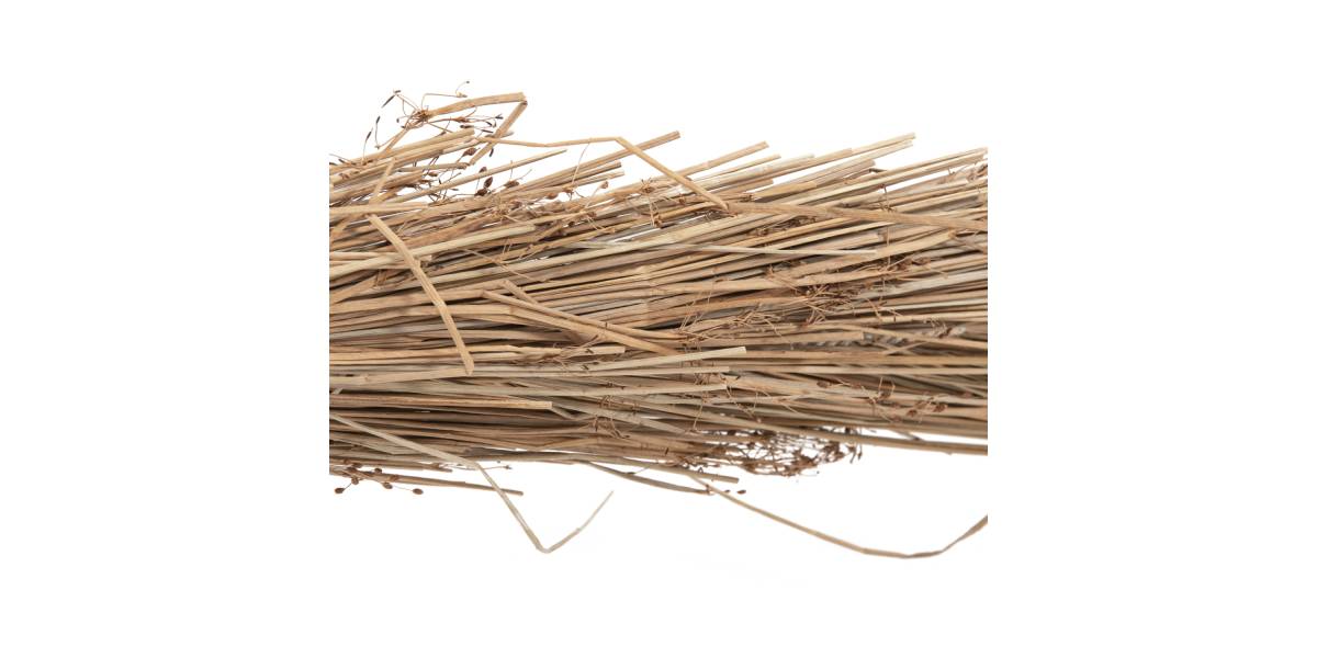 ΔΙΑΚΟΣΜΗΤΙΚΟ ΔΕΝΤΡΟ TROPIC HM4322 τ.ΦΟΙΝΙΚΑ ΑΠΟ MENDONG GRASS 360Yεκ.