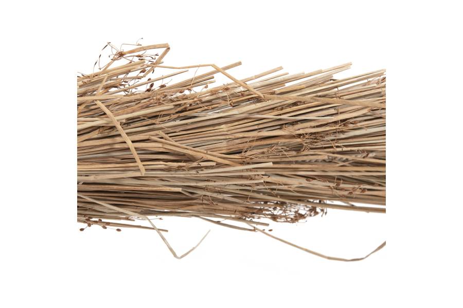 ΔΙΑΚΟΣΜΗΤΙΚΟ ΔΕΝΤΡΟ TROPIC HM4322 τ.ΦΟΙΝΙΚΑ ΑΠΟ MENDONG GRASS 360Yεκ.