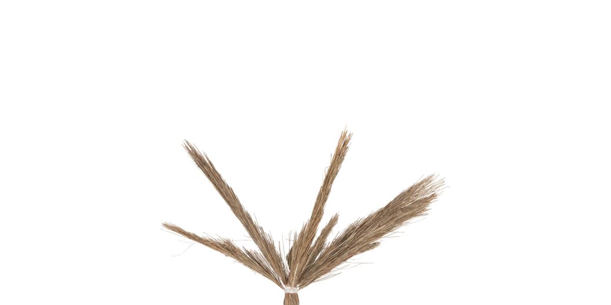 ΔΙΑΚΟΣΜΗΤΙΚΟ ΔΕΝΤΡΟ TROPIC HM4323 τ.ΦΟΙΝΙΚΑ ΑΠΟ MENDONG GRASS 310Yεκ.