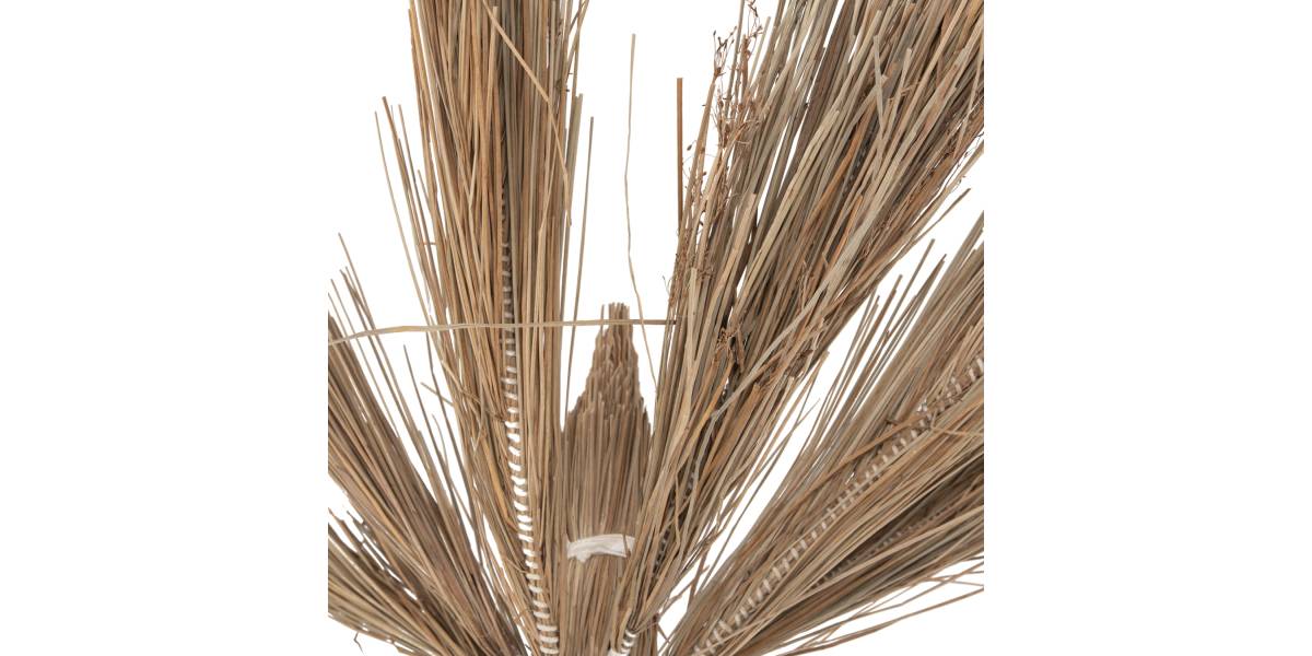 ΔΙΑΚΟΣΜΗΤΙΚΟ ΔΕΝΤΡΟ TROPIC HM4323 τ.ΦΟΙΝΙΚΑ ΑΠΟ MENDONG GRASS 310Yεκ.