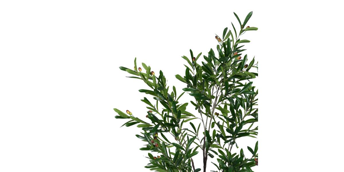 Διακοσμητικό φυτό Olive tree I σε γλάστρα Inart πράσινο pp Υ150εκ