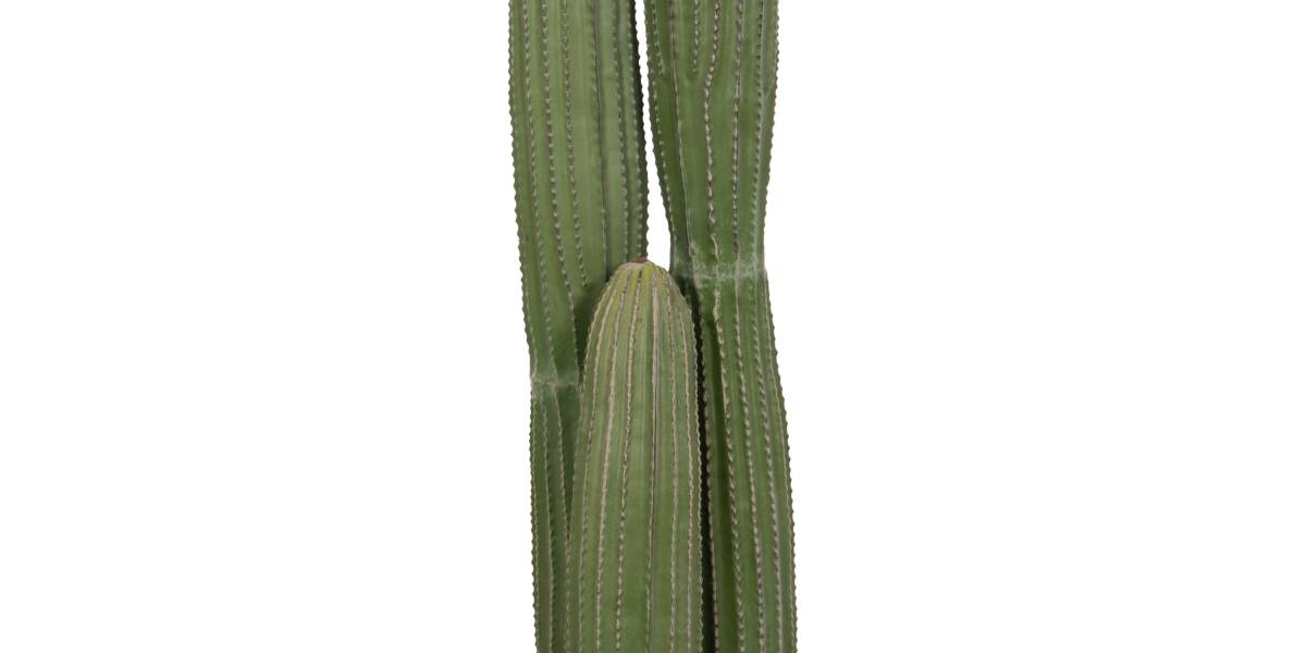 ΔΙΑΚΟΣΜΗΤΙΚΟ ΣΥΝΘΕΤΙΚΟ ΦΥΤΟ HM4744 ΚΑΚΤΟΣ ΜΕ ΓΛΑΣΤΡΑ Φ17,5x105Υεκ.