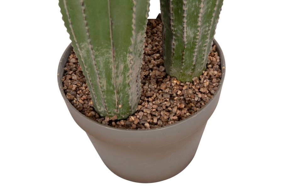 ΔΙΑΚΟΣΜΗΤΙΚΟ ΣΥΝΘΕΤΙΚΟ ΦΥΤΟ HM4744 ΚΑΚΤΟΣ ΜΕ ΓΛΑΣΤΡΑ Φ17,5x105Υεκ.