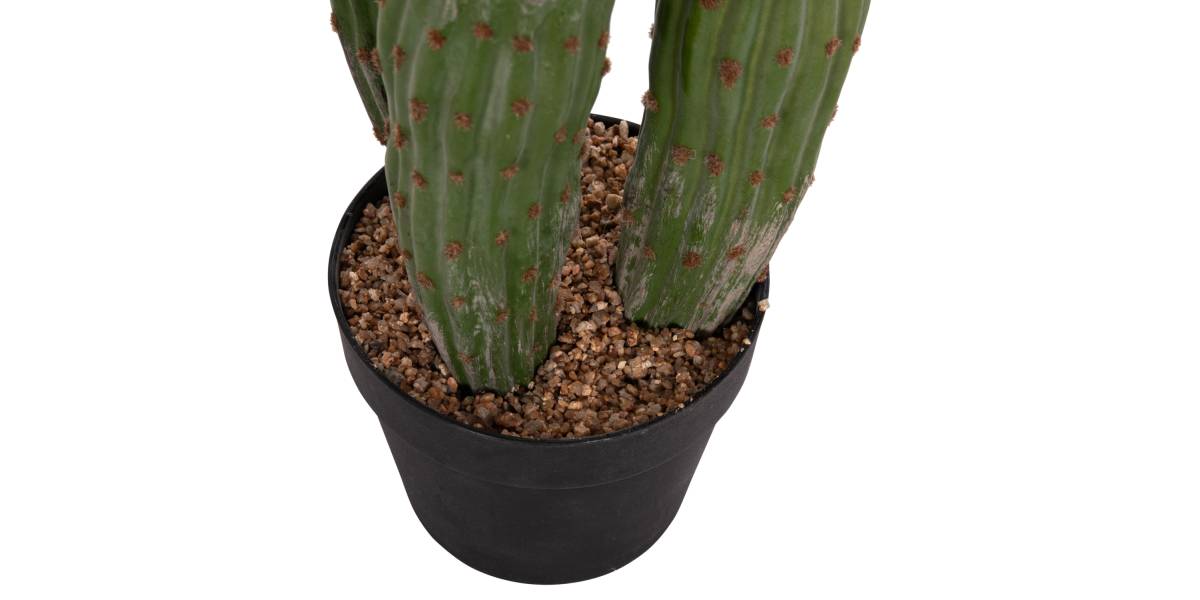 ΔΙΑΚΟΣΜΗΤΙΚΟ ΣΥΝΘΕΤΙΚΟ ΦΥΤΟ HM4747 ΚΑΚΤΟΣ ΜΕ ΓΛΑΣΤΡΑ Φ17,5x115Υεκ.