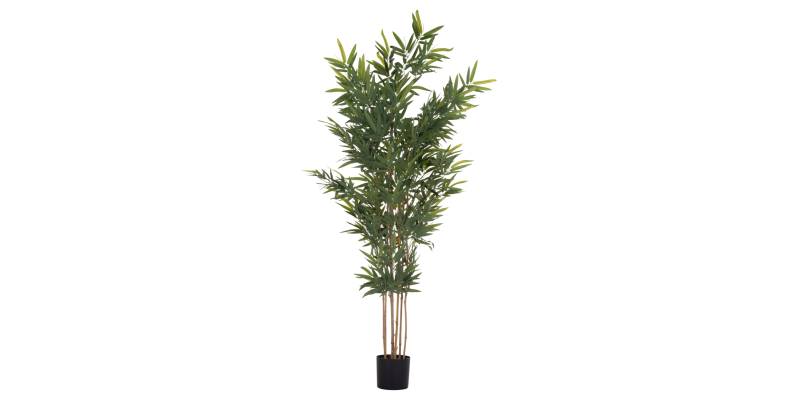 ΔΙΑΚΟΣΜΗΤΙΚΟ ΣΥΝΘΕΤΙΚΟ ΦΥΤΟ HM4736 BAMBOO ΣΕ ΓΛΑΣΤΡΑ 20x95x180Υεκ.